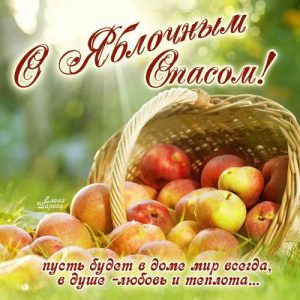 Read more about the article 19 августа в 12.30 будет проведен молебен «Освещение плодов»