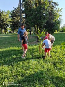 Read more about the article Дети, занимающиеся на детской досуговой площадке «Солнышко» 5 июля участвовали в акции «Зелёные десант»